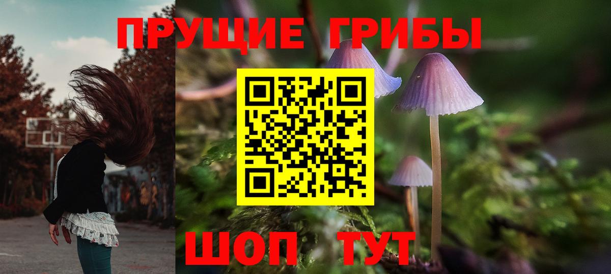 Галлюциногенные грибы Psilocybe Ржев