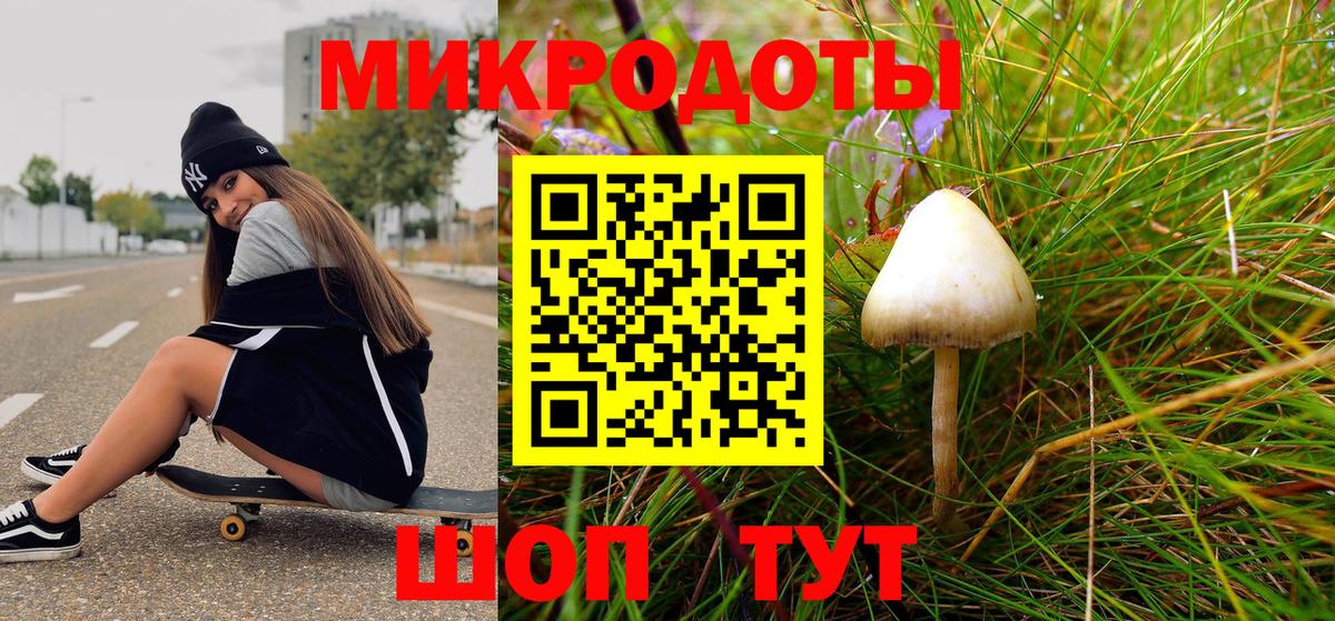 Псилоцибиновые грибы Psilocybe  Вход с VPN  Ржев 